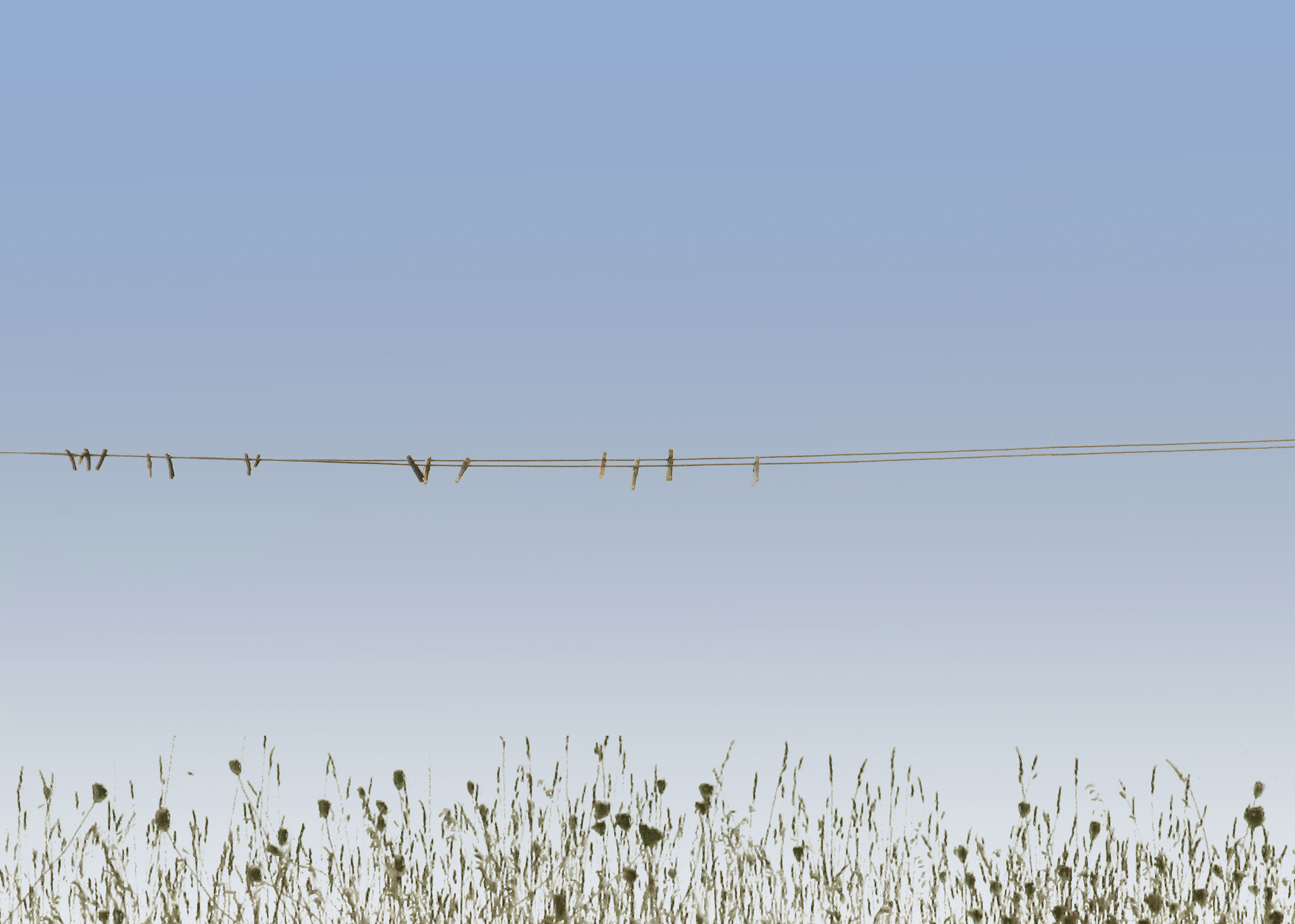2.clothesline