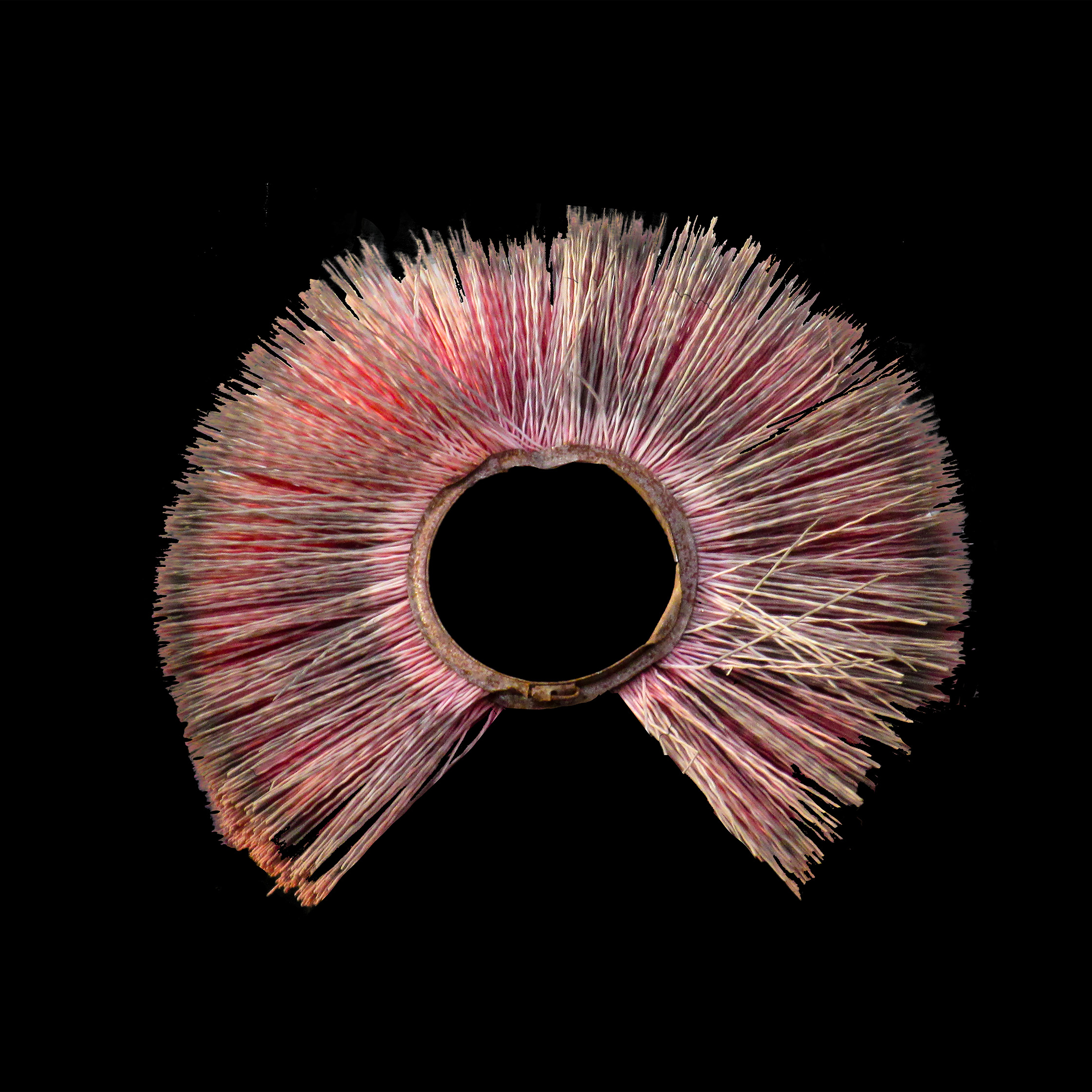 Red Brush